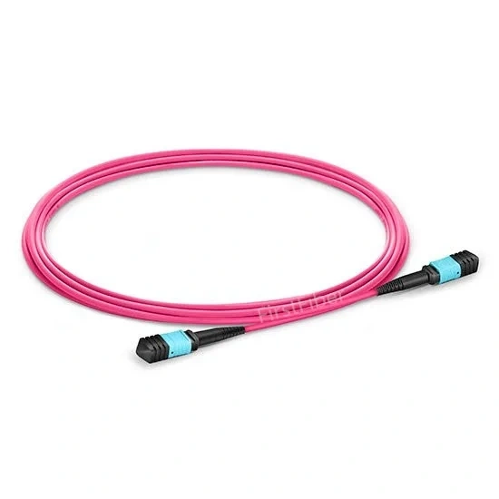 Multimode OM4 MPO Patch Cord Cable 12 Cores