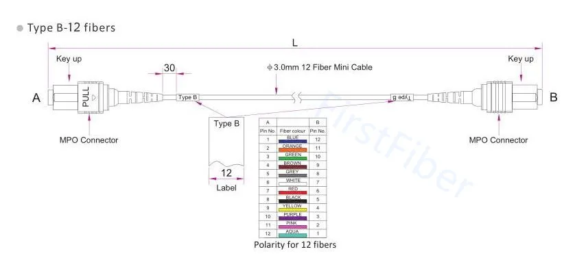 Single mode MPO UPC 12 fiber Type B patch cord