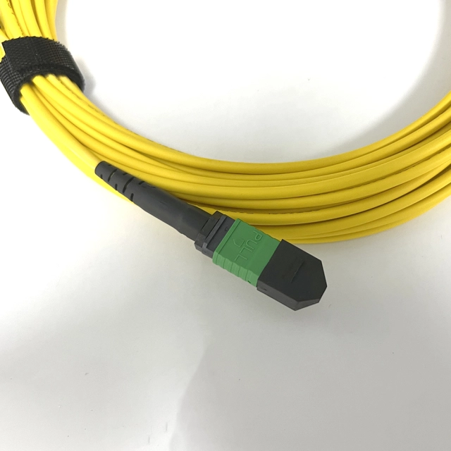 Single Mode MPO APC 12-core patch cord cable